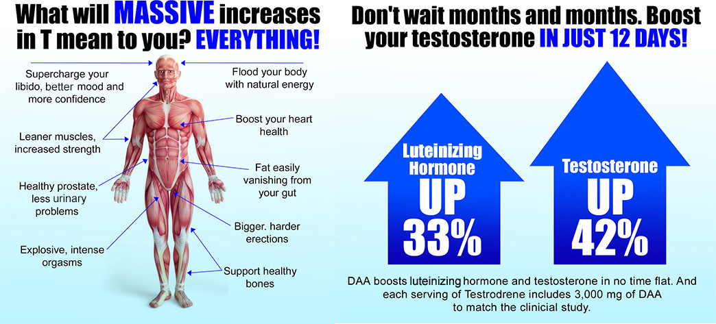 Testosterone