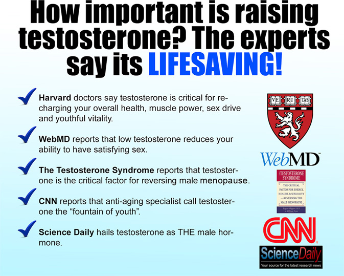 How important is raising testosterone?